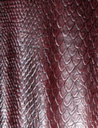 Struktur Latex Snake-2 Purple